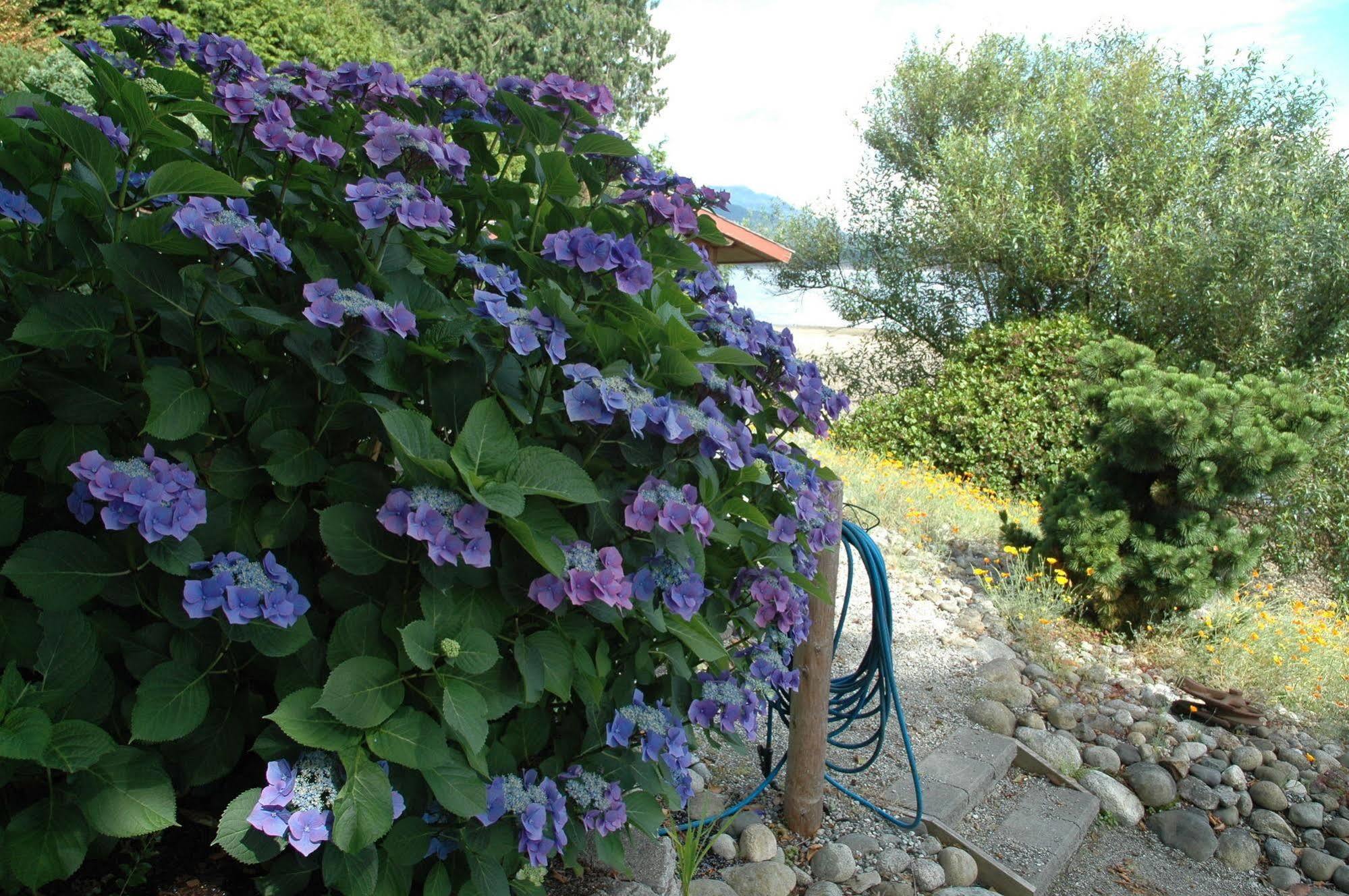 سيتشيلت At The Shore Bed And Breakfast المظهر الخارجي الصورة